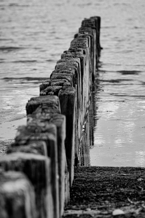 Reihe alter Holzpfähle, die ins Wasser führen – minimalistische Schwarz-Weiß-Landschaft Fotografie mit Tiefenwirkung.